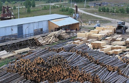 Переработкой сибирского леса займется китайская компания