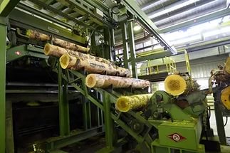 Томский лесопромышленный комплекс — инвестиционные планы